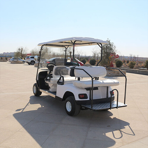 GA4+2 Golf Cart