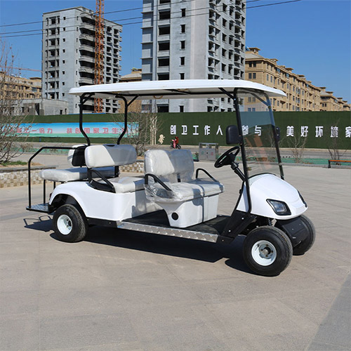GA4+2 Golf Cart