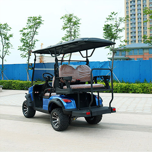 Two Plus Two Golf Cart