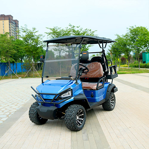 Two Plus Two Golf Cart