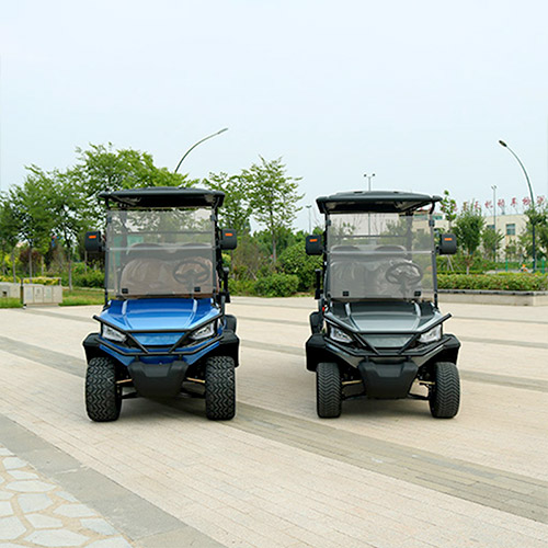 Two Plus Two Golf Cart