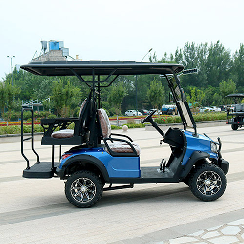 Two Plus Two Golf Cart