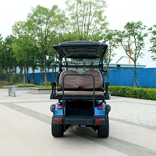 Two Plus Two Golf Cart