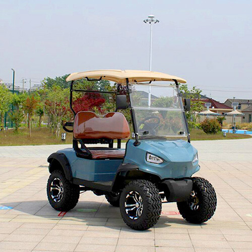 Two Seat Golf Cart
