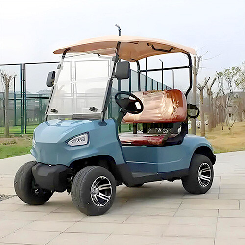 Two Seat Golf Cart
