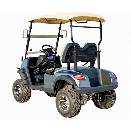 Two Seat Golf Cart