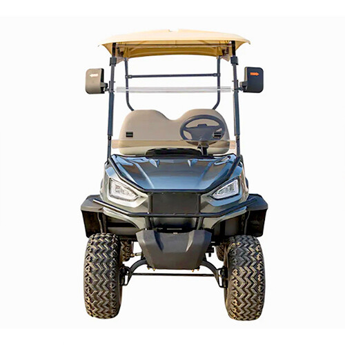 Two Seat Golf Cart