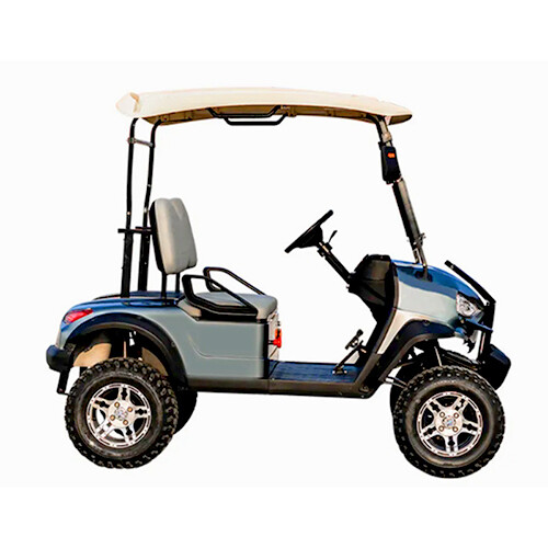 Two Seat Golf Cart