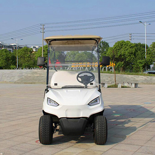 Six Seater Golf Cart