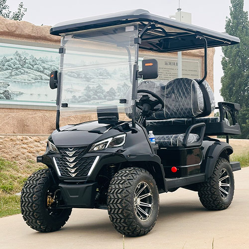 Two Plus Two Seats Golf Cart