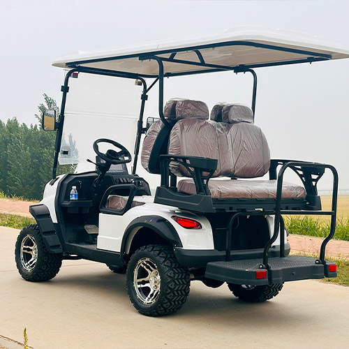 Two Plus Two Seats Golf Cart