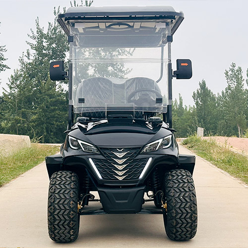Two Plus Two Seats Golf Cart