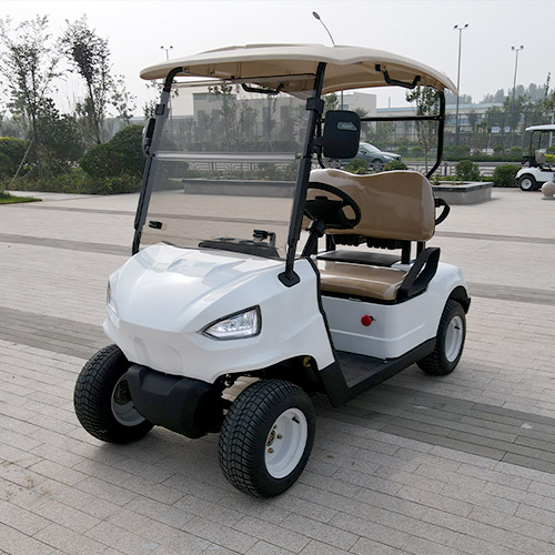 Two Seats Golf Cart