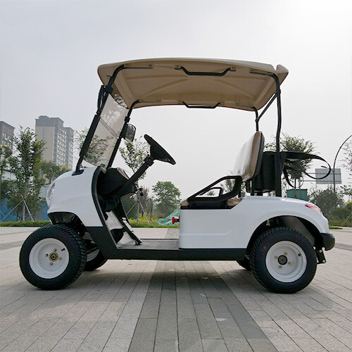 Two Seats Golf Cart