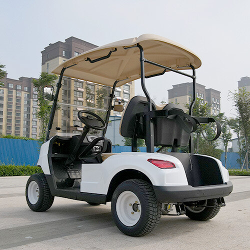Two Seats Golf Cart