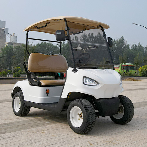 Two Seats Golf Cart