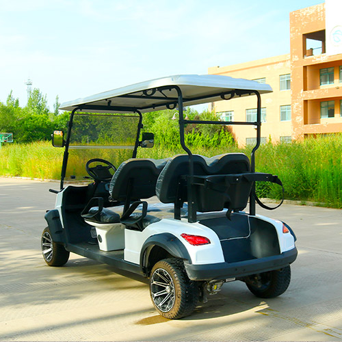 Four Seats Golf Cart