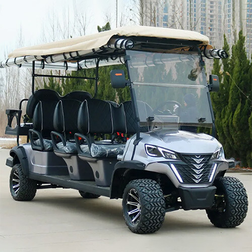 Six Plus Two Seater Golf Cart