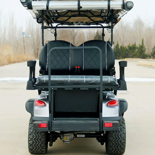Six Plus Two Seater Golf Cart