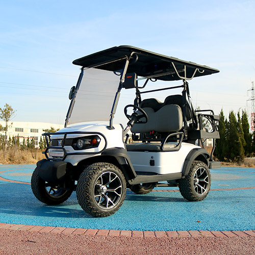GF2+2 Golf Cart