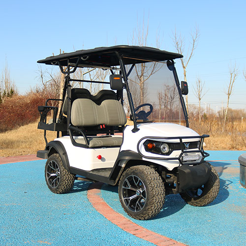 GF2+2 Golf Cart