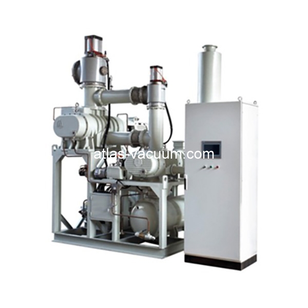 Roots screw vacuum pump system