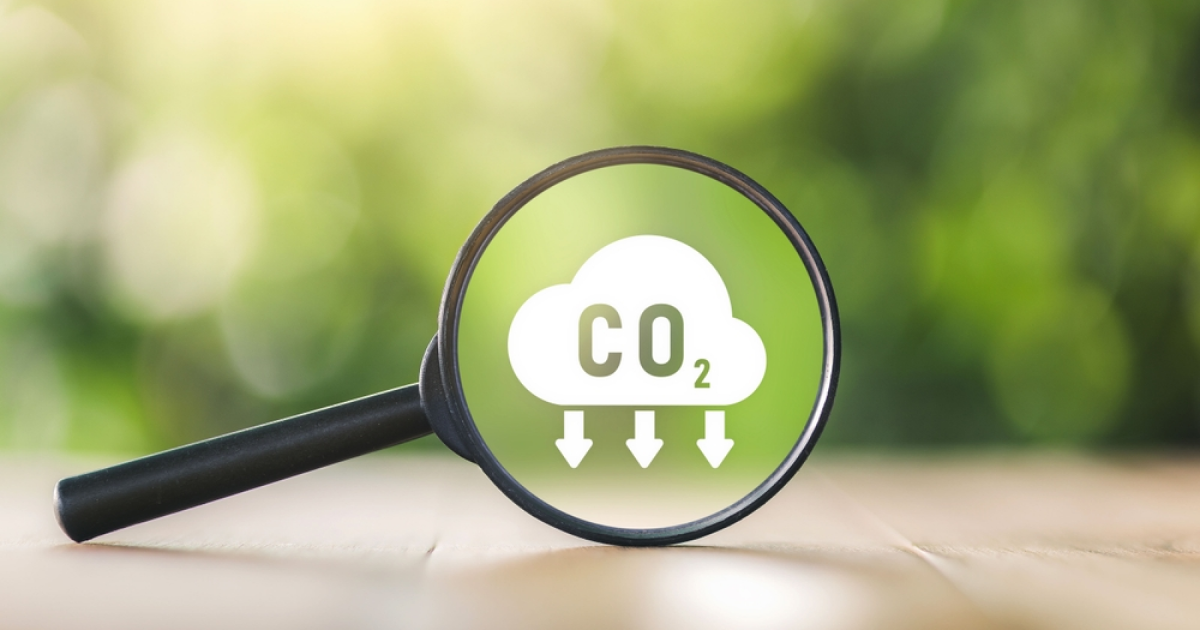 European carbon prices test around €80/t