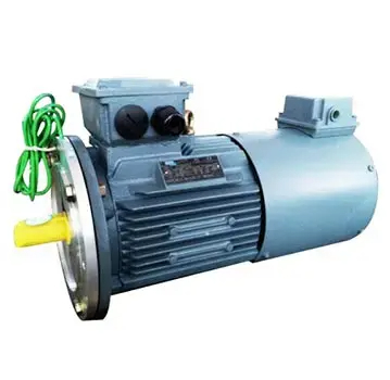 Converter Duty Induction Motor