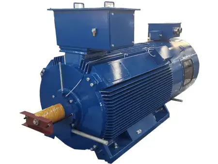 What is a double squirrel cage motor