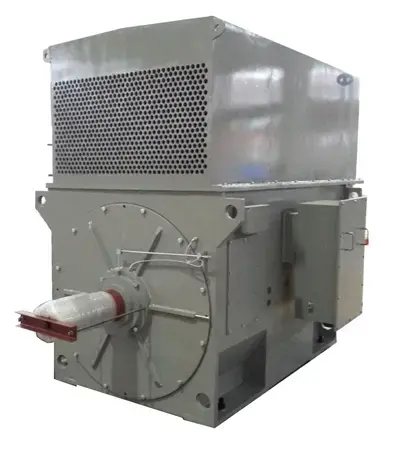 High voltage induction motor - IC611