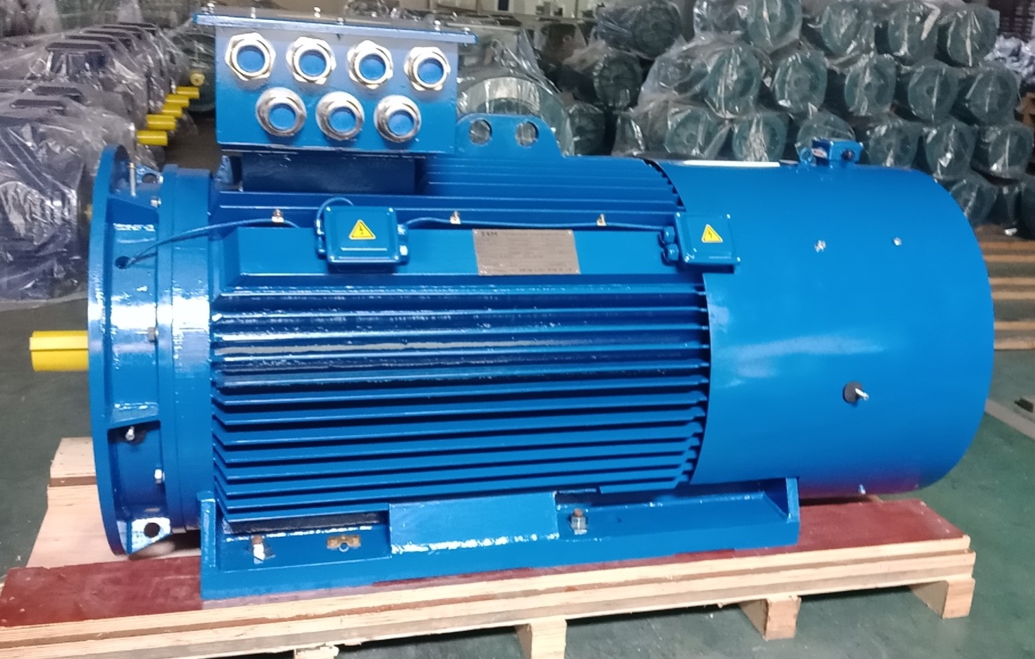 Low voltage motor for Power plant
