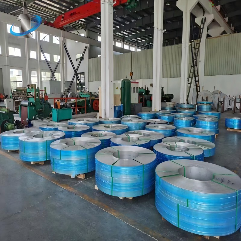 Stainless Steel Strip