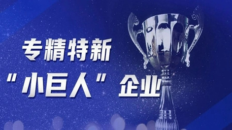 Good News! Zhouxiang Was Honored As A National-Level Specialized And New 