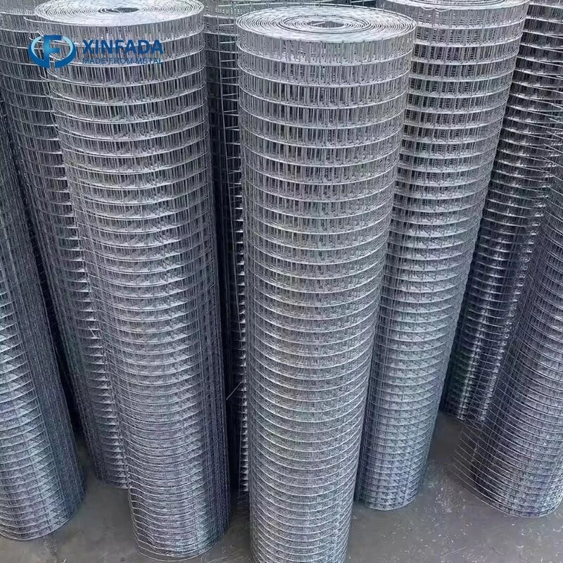 Galvanized Crimped Wire Mesh