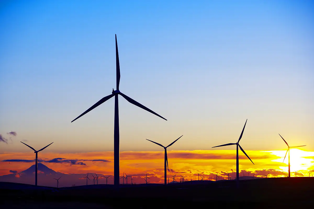 Trump's Steel Tariffs Impact on US Energy Sector: Higher Costs for Wind & Power Projects