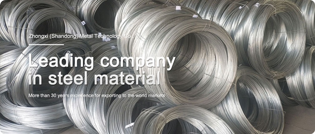 Galvanized Steel Wire