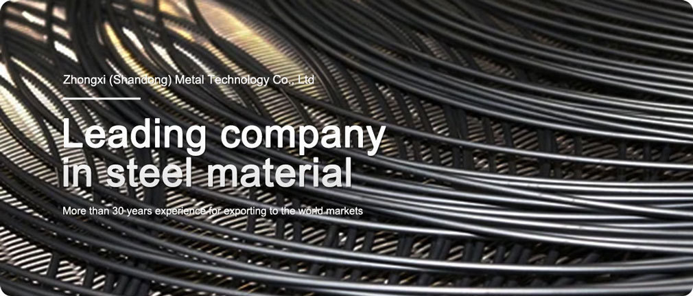 中熙5-详情1-碳钢钢丝