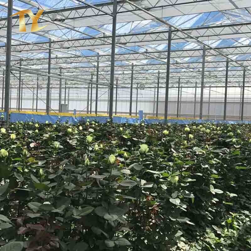 China Factory Glass / Film Greenhouse Agriculture Greenhouse For Vegetable / Flower Planting