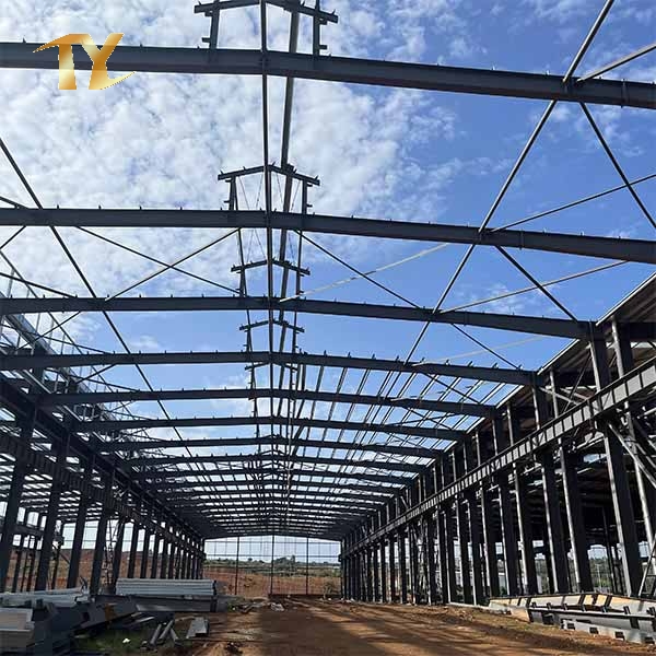 Industry Designed Light Metal Frame Steel Structure