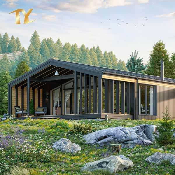Steel Structure House Prefabricated House for Living/Home/Classroom/Office