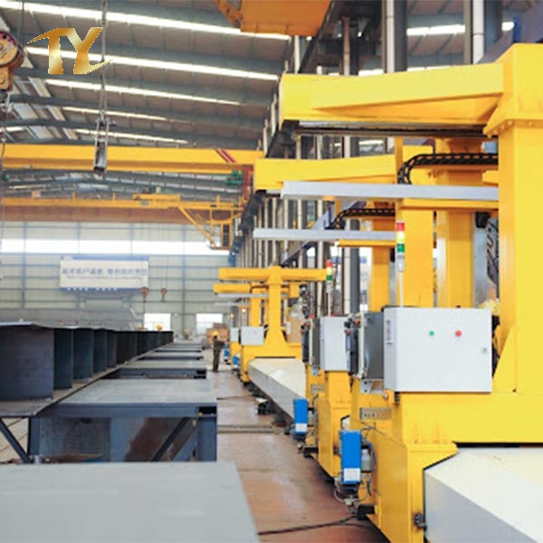 Double Girder Crane / Bridge Crane