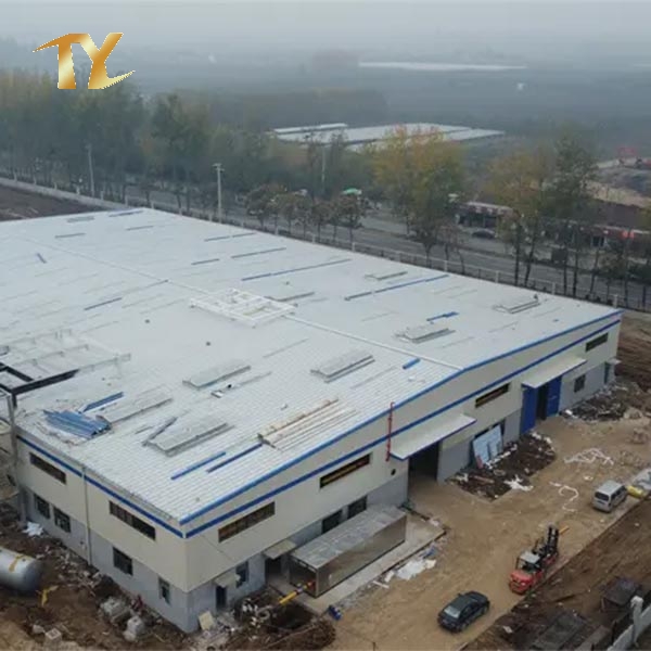 Standard Design Steel Structure Warehouse for Industrial and Commerical Solution