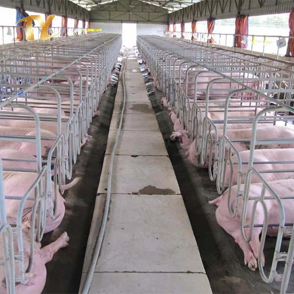 Agricultural Steel Building Pig Farm Shed for Farrow Animal House
