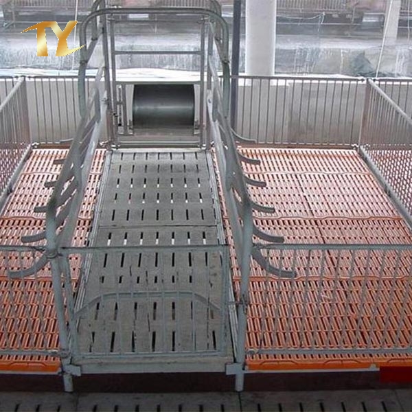 Animal Husbandry Steel Structure Animal House