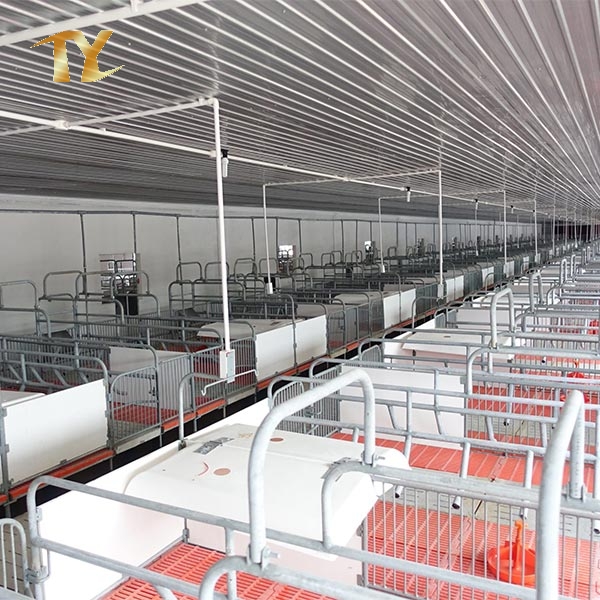 Agricultural Steel Building Pig Farm Shed for Farrow Animal House