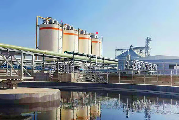 American HealthyMorph LLC