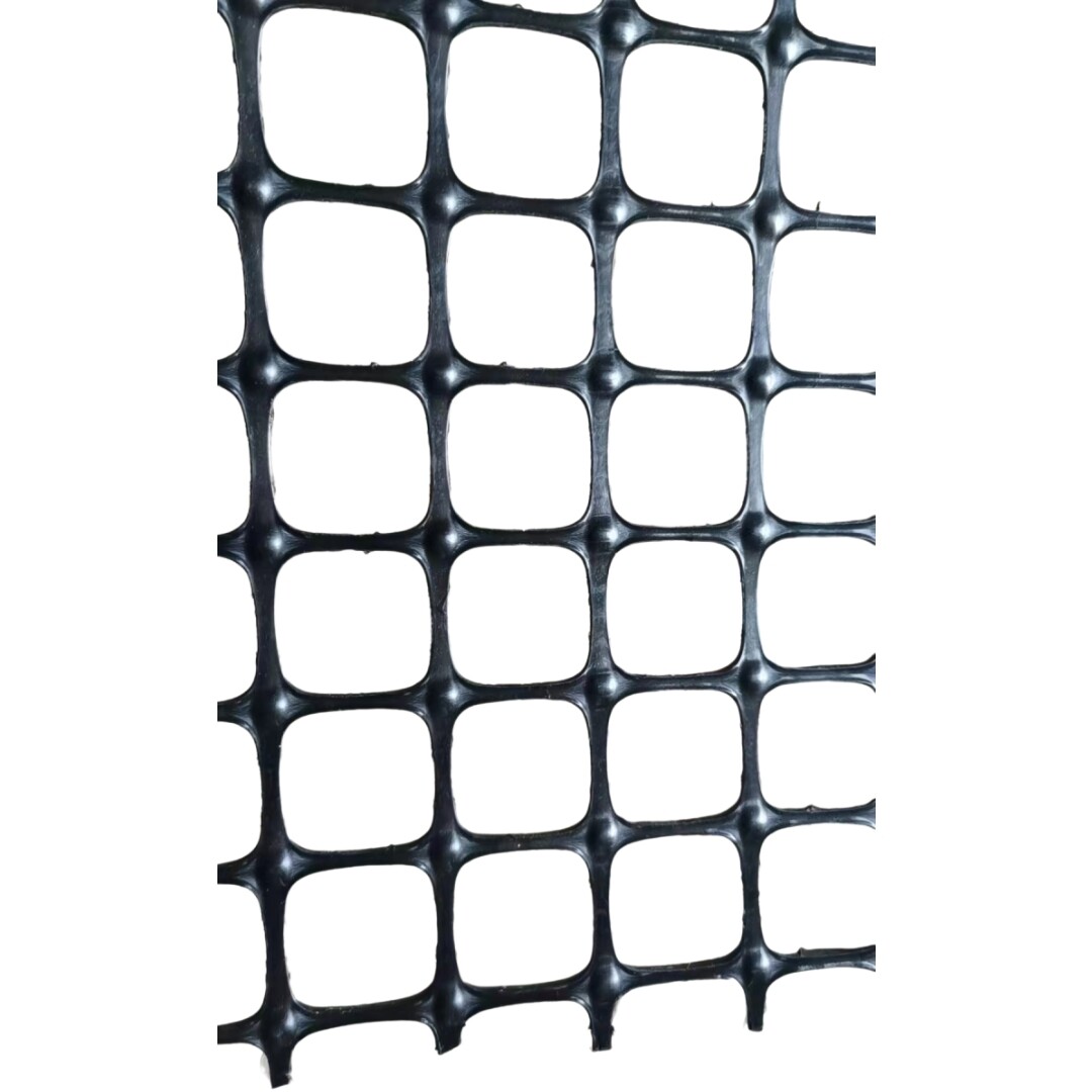 Geogrid
