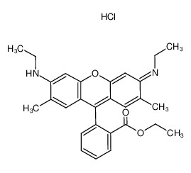 20240318182409647 20240318182409647