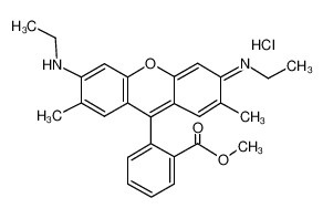 20240318182720171 20240318182720171