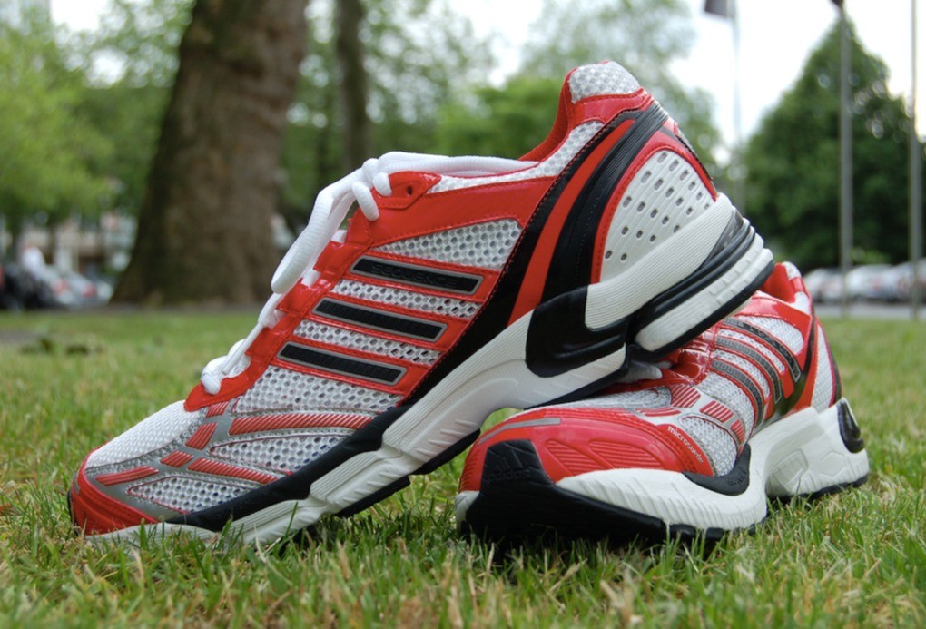 20240415100902925 20240415100902925